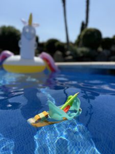 IMG_2594