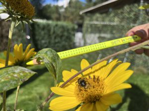 thumbnail_IMG_9533